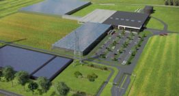 BASF voltooit overname groentezaden business van Bayer