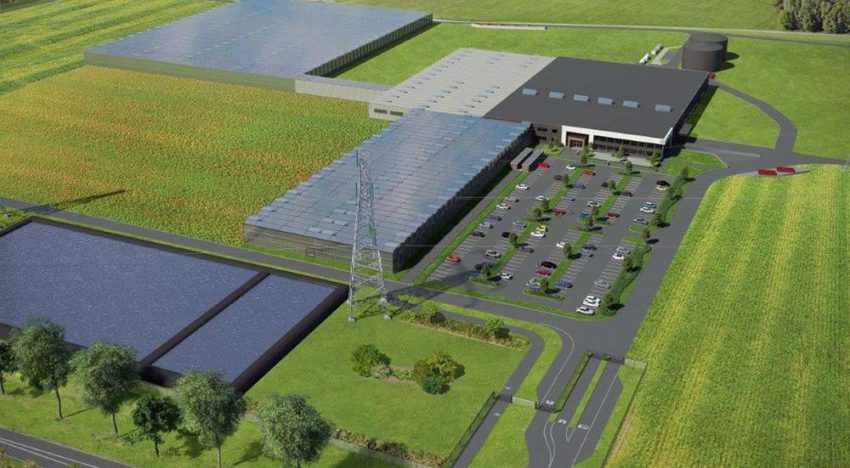 BASF voltooit overname groentezaden business van Bayer