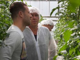 ‘Hoge producties en kwaliteit Juanita smaakt naar meer’