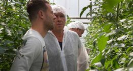 ‘Hoge producties en kwaliteit Juanita smaakt naar meer’