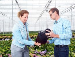 Met scan snel ziekten aantonen en waterkwaliteit monitoren