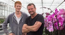 Droog reinigen kan schade door vallend mos beperken