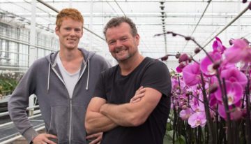 Droog reinigen kan schade door vallend mos beperken