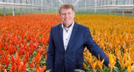 ‘Telers moeten een medicijnkast hebben, dat is de hoogste prioriteit’