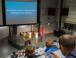 ‘Sierteeltsector moet zichzelf opnieuw uitvinden’