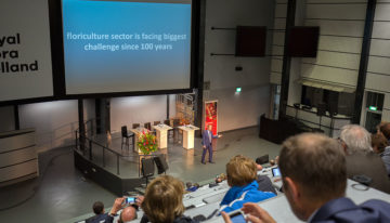 ‘Sierteeltsector moet zichzelf opnieuw uitvinden’
