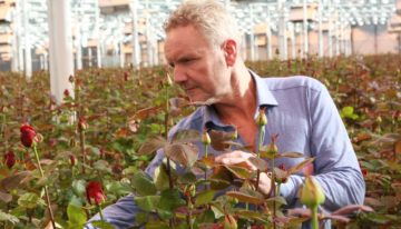 Automatisch plaatselijk spuiten ontziet gewas, milieu en portemonnee