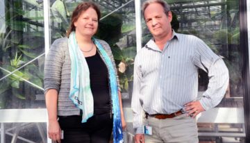 Schimmel Fusarium is onvatbaar voor veel fungiciden en muteert snel