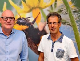 Betrouwbare bestuiving is meer dan ‘een doos met hommels’