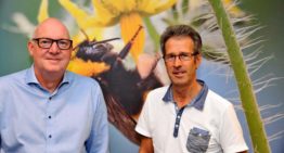Betrouwbare bestuiving is meer dan ‘een doos met hommels’