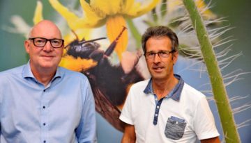 Betrouwbare bestuiving is meer dan ‘een doos met hommels’