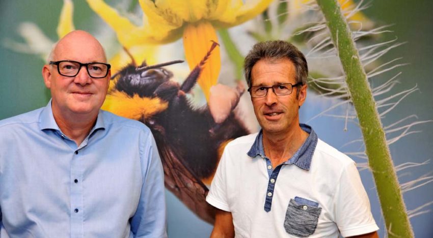 Betrouwbare bestuiving is meer dan ‘een doos met hommels’
