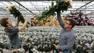 ‘Op ego’s kun je geen onderneming bouwen, op capaciteiten wel’
