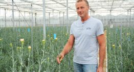 Anjerteler kiest voor lelies en wordt bedrijfsleider op eigen tuin