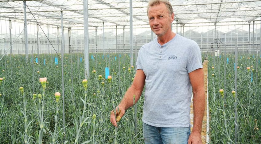 Anjerteler kiest voor lelies en wordt bedrijfsleider op eigen tuin