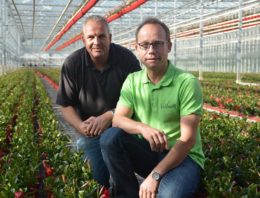 Paletti Growers zet in op uitbouwen bestaande pijlers én meer Duitse leden
