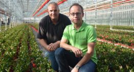 Paletti Growers zet in op uitbouwen bestaande pijlers én meer Duitse leden