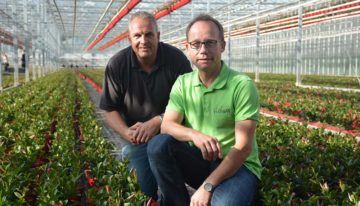 Paletti Growers zet in op uitbouwen bestaande pijlers én meer Duitse leden