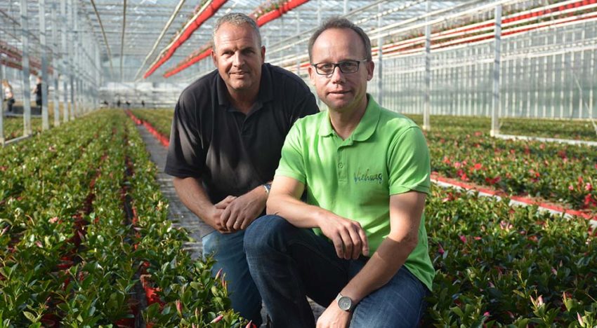 Paletti Growers zet in op uitbouwen bestaande pijlers én meer Duitse leden Paletti Growers zet in op uitbouwen bestaande pijlers én meer Duitse leden
