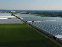 Groeiende vraag duurzame glastuinbouwgebieden