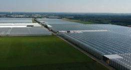 Groeiende vraag duurzame glastuinbouwgebieden