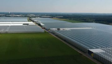 Groeiende vraag duurzame glastuinbouwgebieden