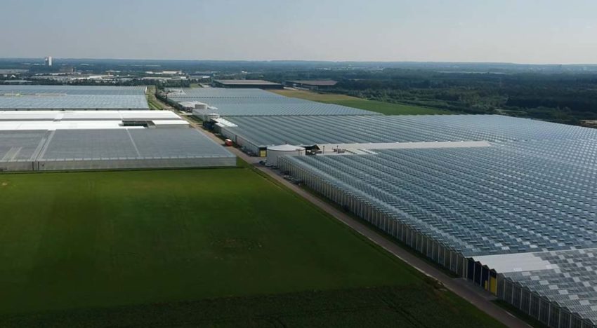 Groeiende vraag duurzame glastuinbouwgebieden