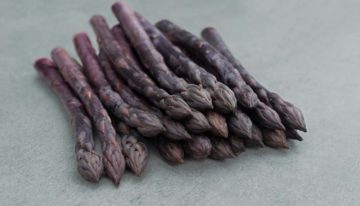 Bejo presenteert eerste 100% mannelijke paarse asperge