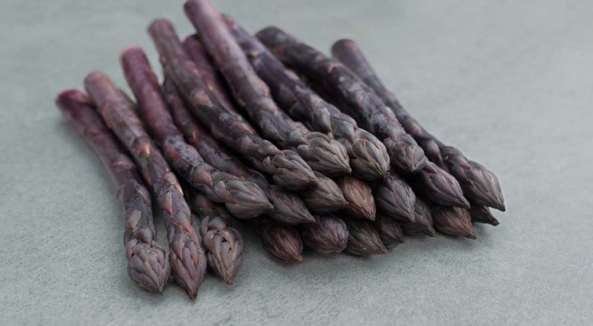 Bejo presenteert eerste 100% mannelijke paarse asperge