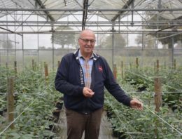 Theo Douven realiseert eigen proeftuin voor blauwe bes in Duitsland