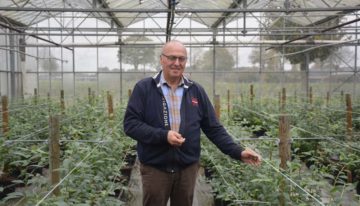 Theo Douven realiseert eigen proeftuin voor blauwe bes in Duitsland