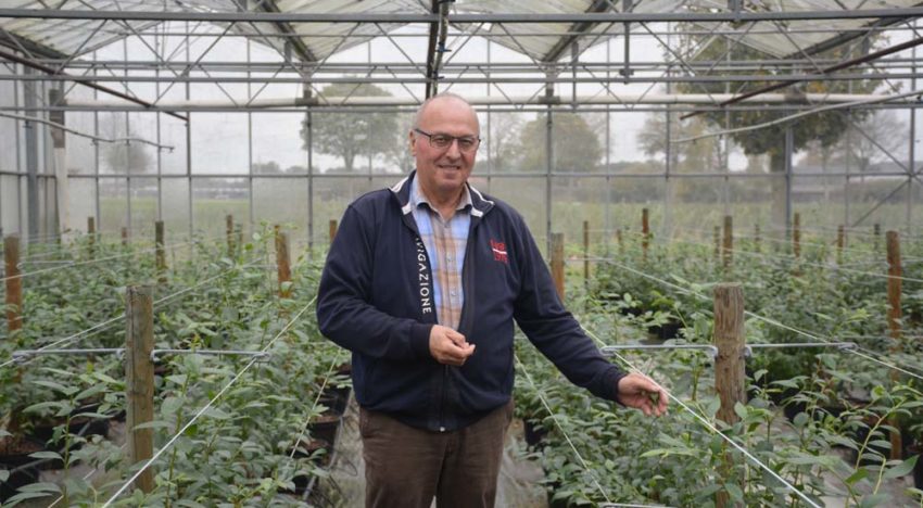 Theo Douven realiseert eigen proeftuin voor blauwe bes in Duitsland