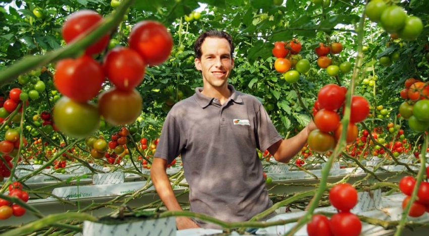 ‘Het Nieuwe Telen is eigenlijk de standaard geworden’