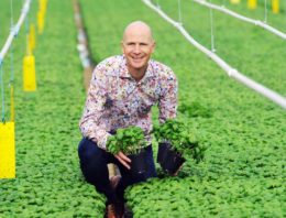 Plantenkweker wil in 2018 al voor 100% water en meststoffen recirculeren