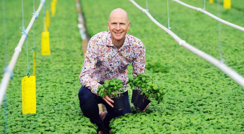 Plantenkweker wil in 2018 al voor 100% water en meststoffen recirculeren