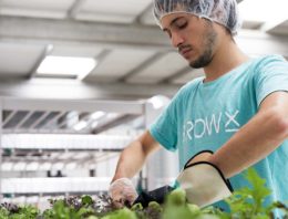Eerste hightech verticale boerderij in Amsterdam officieel geopend