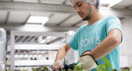 Eerste hightech verticale boerderij in Amsterdam officieel geopend