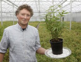 ‘Mijn passie ligt vooral in het karakter van de bamboeplant’
