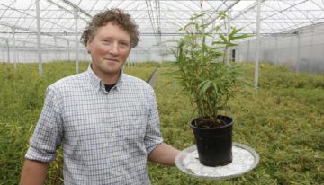 ‘Mijn passie ligt vooral in het karakter van de bamboeplant’