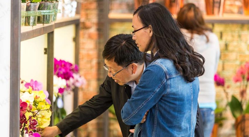 Orchid Inspiration Days aanwezig op Royal FloraHolland Trade Fair