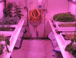 Handboek plantenteelt voor astronauten