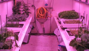 Handboek plantenteelt voor astronauten