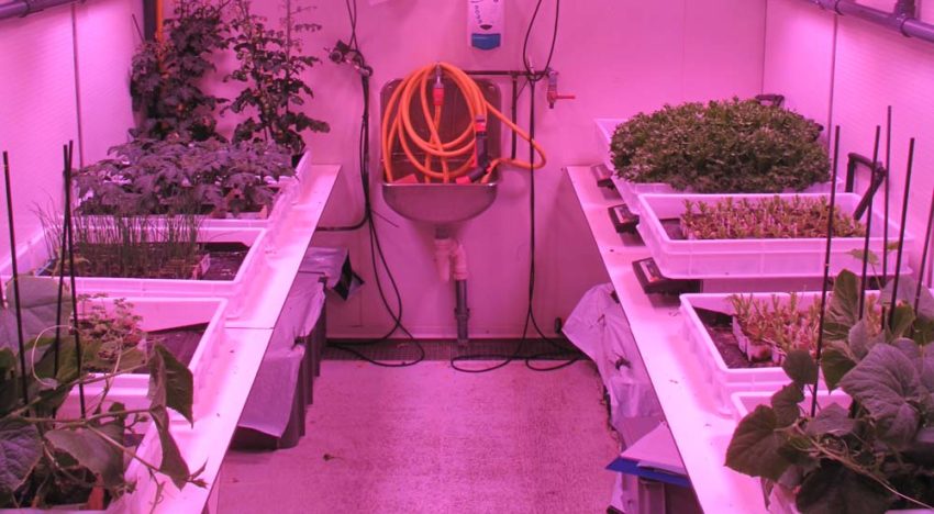 Handboek plantenteelt voor astronauten