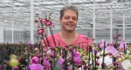 Ondernemers in de glastuinbouw moeten zichzelf vernieuwen