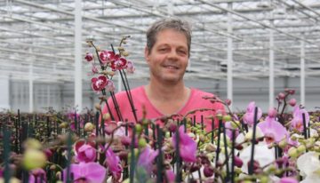 Ondernemers in de glastuinbouw moeten zichzelf vernieuwen