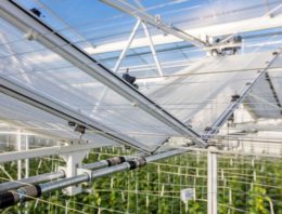 Proefkas voor fossielvrije glastuinbouw geopend