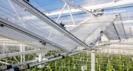 Proefkas voor fossielvrije glastuinbouw geopend