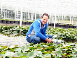 ‘Bedrijfsvernieuwing zorgt voor betere kleuring planten en energiebesparing’