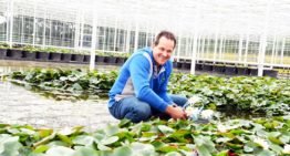 ‘Bedrijfsvernieuwing zorgt voor betere kleuring planten en energiebesparing’