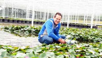 ‘Bedrijfsvernieuwing zorgt voor betere kleuring planten en energiebesparing’
